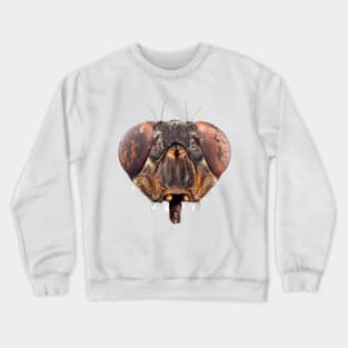 Fly head under the microscope Crewneck Sweatshirt